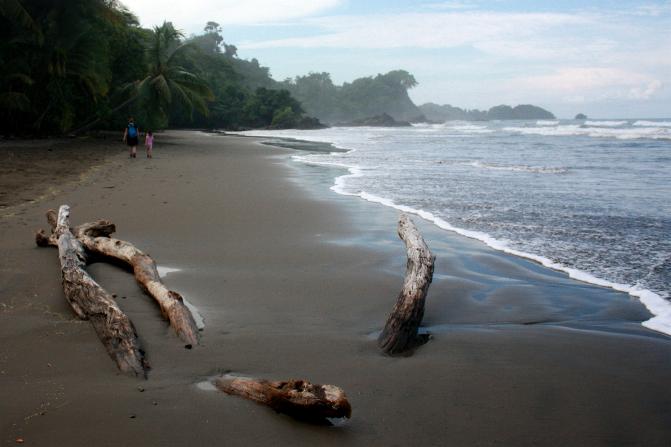 Dominical
