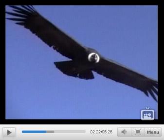 Clip 04: Arequipa - Coroico (14 au 23 juin 2006)